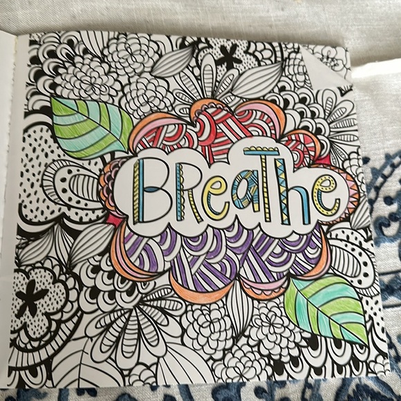 Joyful Inspirations artist coloring book 31 stress relieving designs - Picture 6 of 16